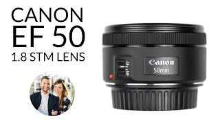 Canon EF 50mm f1.8 STM - Best Prime Lens For Beginner Photographer - Review with Sample Images