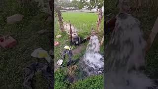 water pump machine starting video #shorts #ytshorts #youtubeshorts #reels #viral #fyp #pump #machine