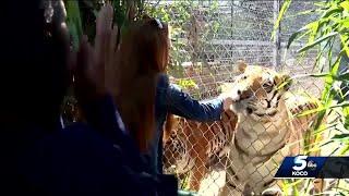 Officials speak after closure of Tiger King zoo in Wynnewood