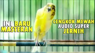 Ini baru masteran KENARI cengkok mewah bikin kenari PAUD dan BAHAN cepat gacor dan juara - AUDIO