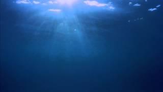 Underwater FREE Video Background 1080p