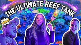 Is This The Best Saltwater Aquarium In The World?  Maras Reef  Germany 2024