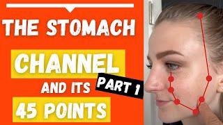 The Stomach Channel Meridian Acupuncture Points location & Functions Part 1