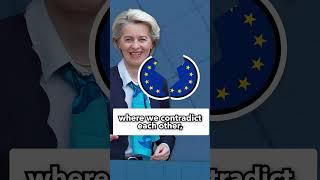  German Green MEP Hannah Neumann on European unity