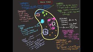 Splenic masses