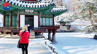 4K Seoul - Walk through the Snowy Royal Secret GardenHUWON of Seoul. Changdeokgung Palace 왕실비밀정원
