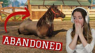 SAVING ABANDONED HORSES - Animal Shelter Horse Rescue  Pinehaven