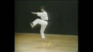 2.11 Shotokan Kata Enpi