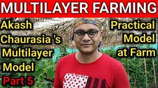 MULTILAYER FARMING  PART 5  AKASH CHAURASIA S MULTI LAYER MODEL  PRACTICAL MODEL AT FARM 