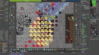 Tibia Ingol -3 Full Team Hunt NO CHARM