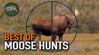 20 Moose Hunts in 20 Minutes ULTIMATE Moose Hunting Compilation  BEST OF