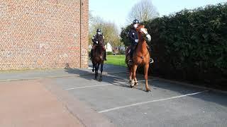 Wallers  Des policiers à cheval vont patrouiller en ville chaque semaine