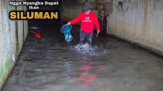 Ngga Nyangka Dapat Ikan Siluman  Cuma Pakai Serok Panen Ikan Nila Di Dalam Gorong Gorong Angker