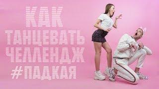 Как танцевать челлендж #падкая