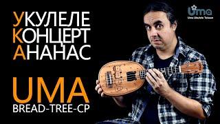 Укулеле концерт-ананас UMA BREAD-TREE-CP  Обзор от Укулеле.ру