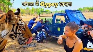 जंगल में Gypsy खराब  Banbehi Tigress Cub  Bandhavgarh national park  Bandhavgarh  Jungle safari