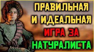 Взгляд по новому Правильная прокачка роли Натуралист в Red Dead Online