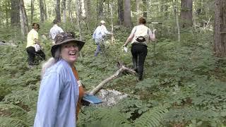 Inland Wetland Delineation Training - Hydric Soils