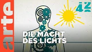 Was ist das Geheimnis des Lichts?  42 - Die Antwort auf fast alles  ARTE