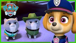 汪汪隊终极救援：拯救皇家猫咪 - PAW Patrol 汪汪隊立大功 - 兒童卡通