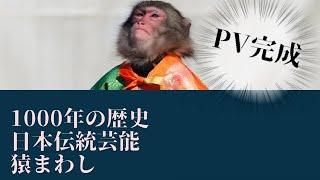 【PV】   二助企画日本伝統芸能猿まわしの最新PV