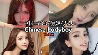 Chinese Ladyboy Vol.02 - 中国 CDCrossdresser TSTransgender 伪娘 人妖 - 粥粥 金禧曌 思涵 思琪