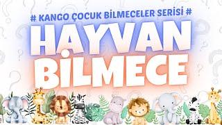 Hayvan Bilmece Soru ve Cevapları Kolay Bilmece Oyun Videosu Serisi - Hayvanlar  Kango Cocuk