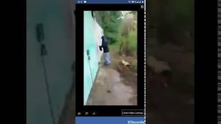 Viral di fb mesum di kebun kepergok warga