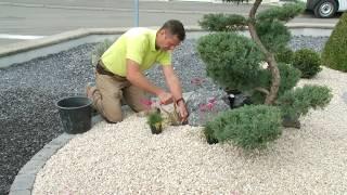 Jardinier paysagiste création despace vert à Metz  DAVID CREATION PAYSAGISTE