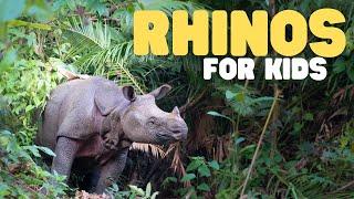 Rhinos for Kids  Learn some fun facts about rhinoceroses