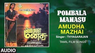 Amudha Mazhai Audio Song  Tamil Movie Pombala Manasu  Raghuvaran Ranjani  Rathina Suriyan