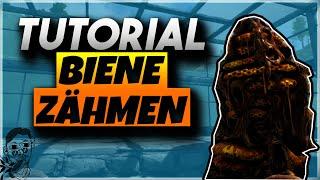  Ark Biene zähmen & Honig farmen Tutorial  Ark Survival Evolved