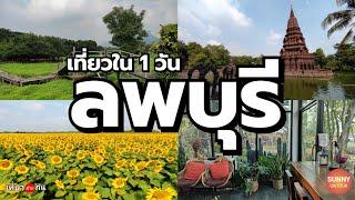 ทุ่งทานตะวัน เที่ยวลพบุรี 1 วัน l Sunflower field Lopburi  Sunny ontour