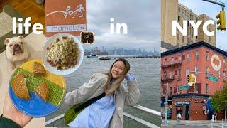 NYC VLOG tasting 3 kinds of mooncake  $69person omakase and Taiwanese food in Brooklyn