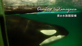 鴨川シーワールドホテル宿泊者限定の夜の水族館探検へ行ってきた【シャチ】｜Kamogawa Sea World Night Tour