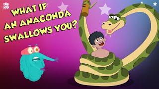 What If An Anaconda Swallows You?  Swallowed By An Anaconda  Dr Binocs Show  Peekaboo Kidz