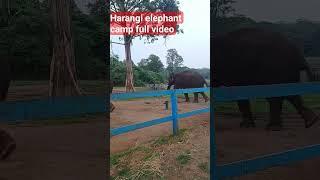 harangi elephant camp full video link httpsyoutu.beX1FcJ2R75Tk one day trip to madikericoorg