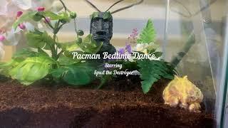 Pacman Frog Bedtime Dance