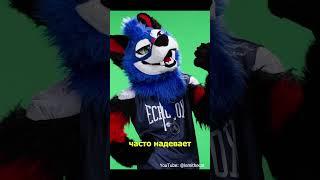 ФУРРИ КИБЕРСПОРТСМЕН SONICFOX POPUFUR