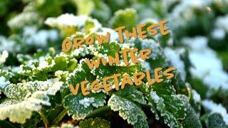 Grow these vegetables in winter