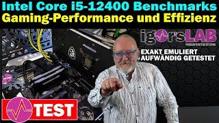 Intel Core i5-12400 vs. AMD Ryzen 5 5600X im Performance-Test – Sparsamer ohne E-Cores und mit DDR4