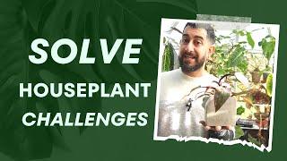  Houseplant Challenges? Watch This Before You Quit 