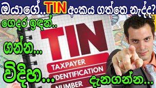 How to get TIN number taxpayer identification number sinhala