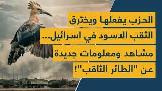 الحزب يفعلها ويخترق الثقب الاسود في اسرائيل... مشاهد ومعلومات جديدة عن الطائر الثاقب