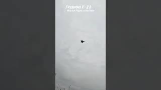 Freewing F-22 Raptor Maiden Flight in the Rain