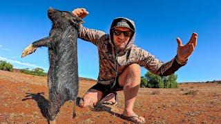 Living Off The Land - Catching Feral Pigs - Shooting Fishing Camping Boating