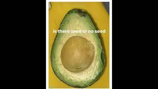 Is there seed or no seed? #shorts #avocado #illusion