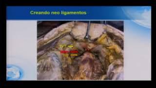 La evolución de la Teoria Integral