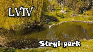  Lviv. Walk in Stryi Park 2023. Virtual walking tour. Ukraine 4K