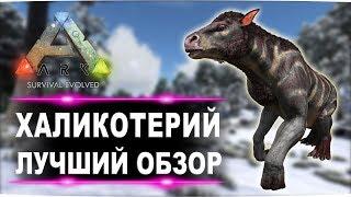 Халикотерий Chalicotherium в АРК. Лучший обзор приручение разведение и способности  в ark.